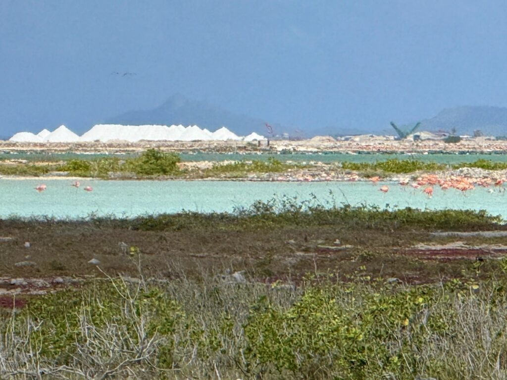 Salt Mountains on Bonaire