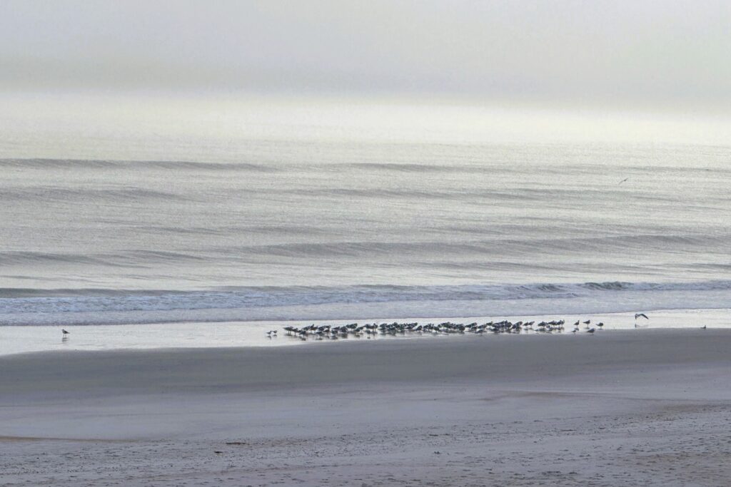 Sunrise on a North Florida beach. Featured in Lessons from an unexpected alarm clock