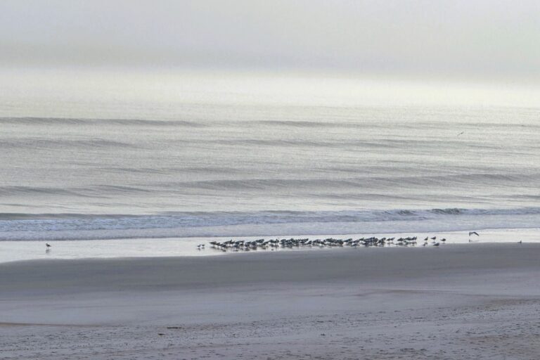 Sunrise on a North Florida beach. Featured in Lessons from an unexpected alarm clock