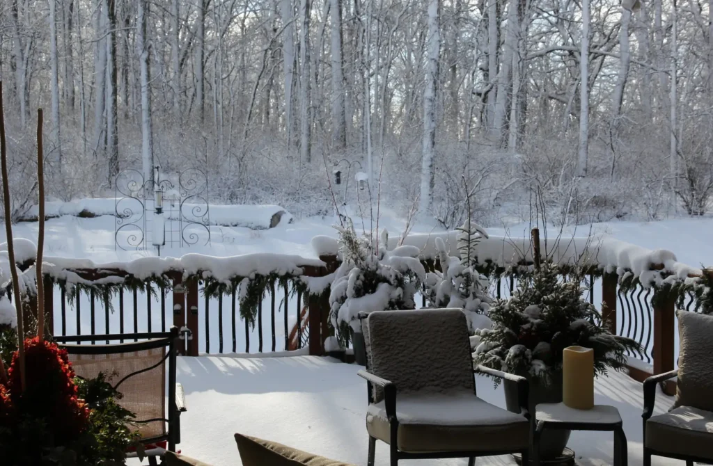 January 2026 winter scene