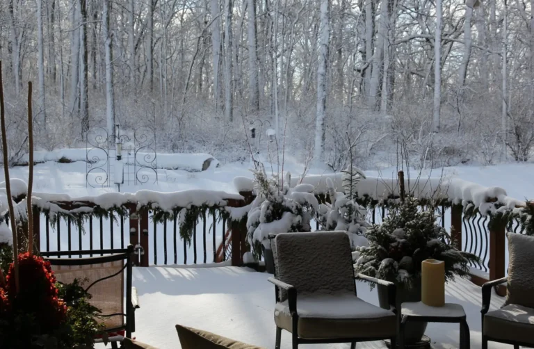January 2026 winter scene