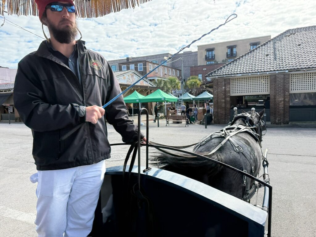 Carriage Tour in Charleston
