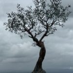 Tree of Life Sculpture in Cortona