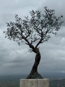 Tree of Life Sculpture in Cortona
