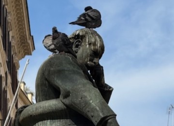 Statue with pigeons on head Lessons Learned