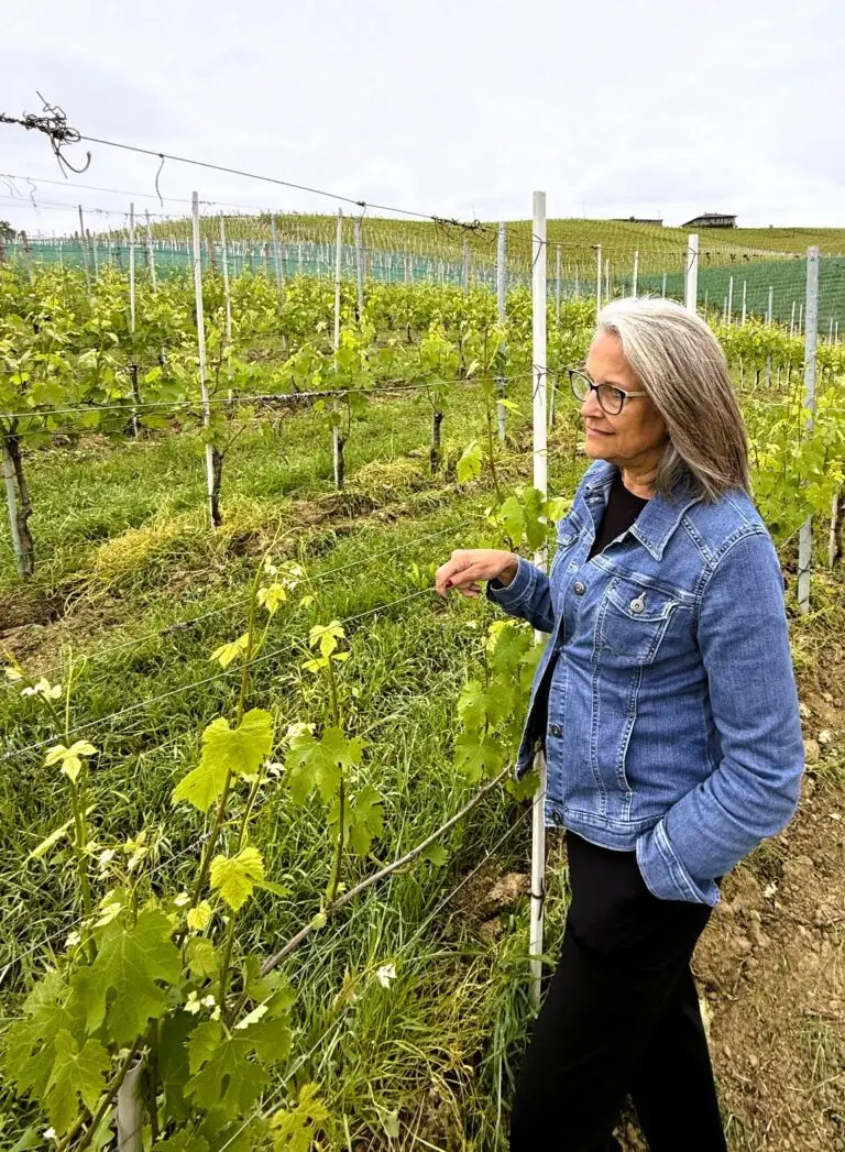 Woman in Vineyard in Piedmont