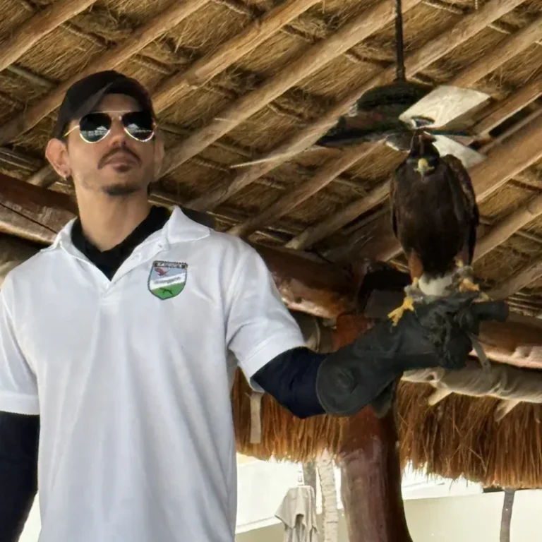 Falconer at Presidente Intercontinental