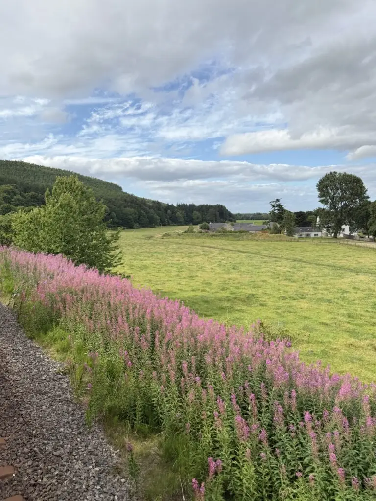 View from the Royal Scotsman
