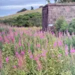 The Highlands of Scotland