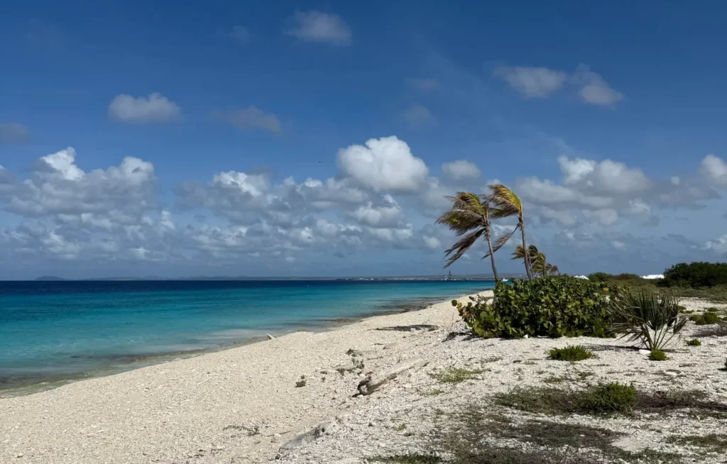 Pink Beach in Bonaire Friendships in Retirement